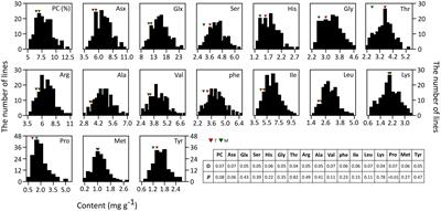 Mapping and Validation of QTLs for the Amino Acid and Total Protein Content in Brown Rice